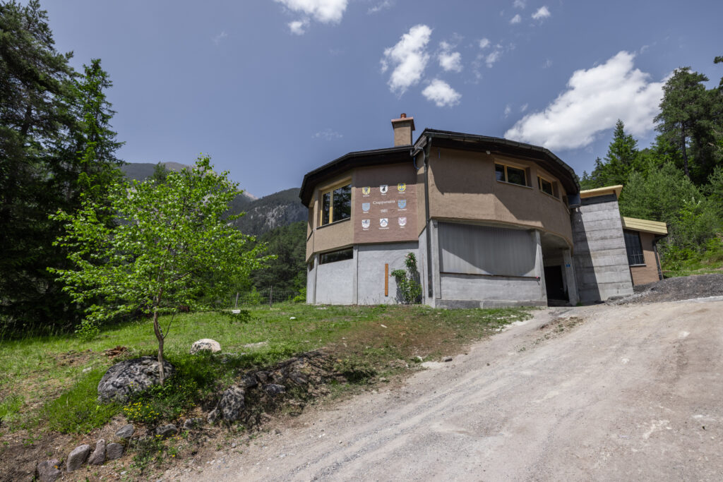 albula-0001