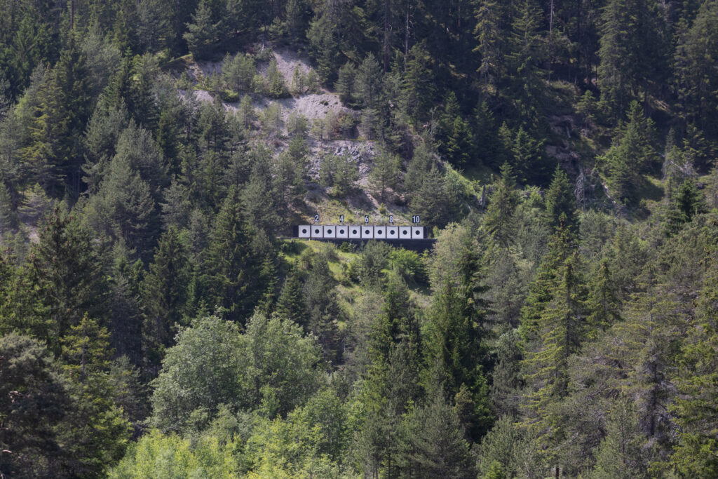 albula-0004