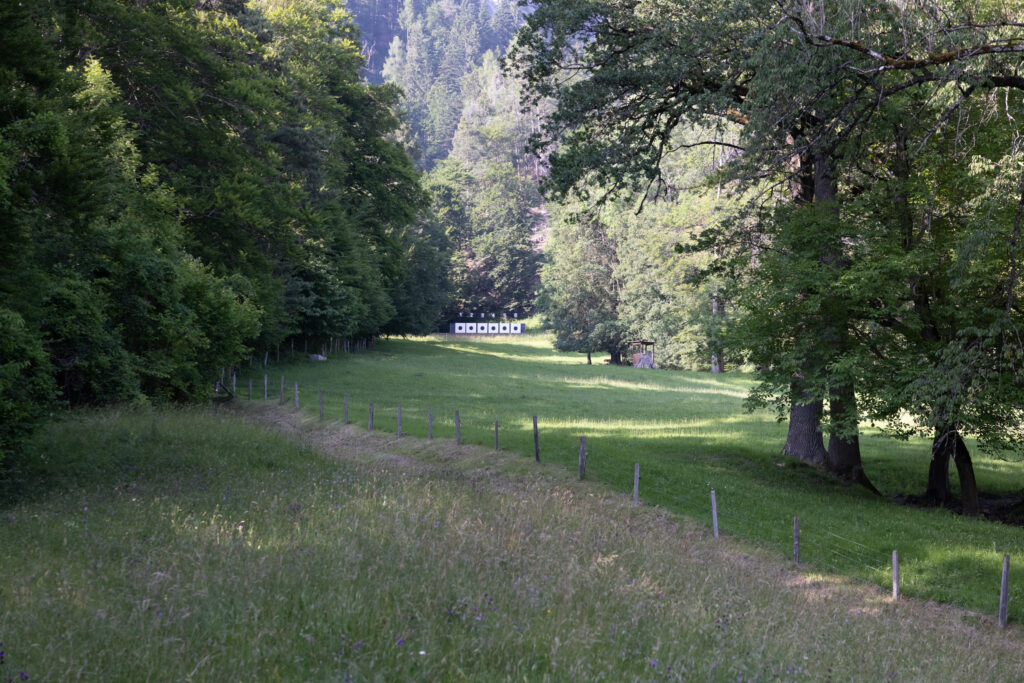 malans-0004