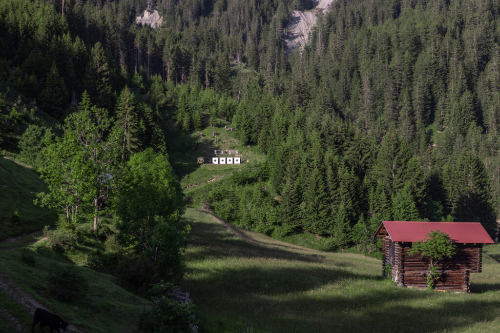 peist-0004