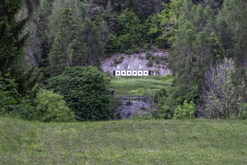 tamins-0004