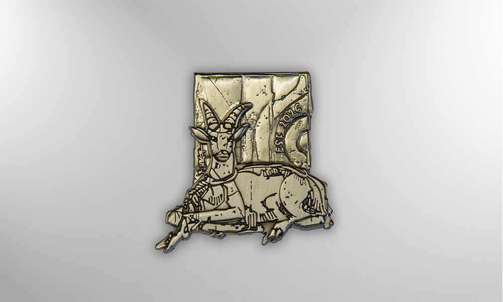 ESF_Pins_Hintergrund_Silber