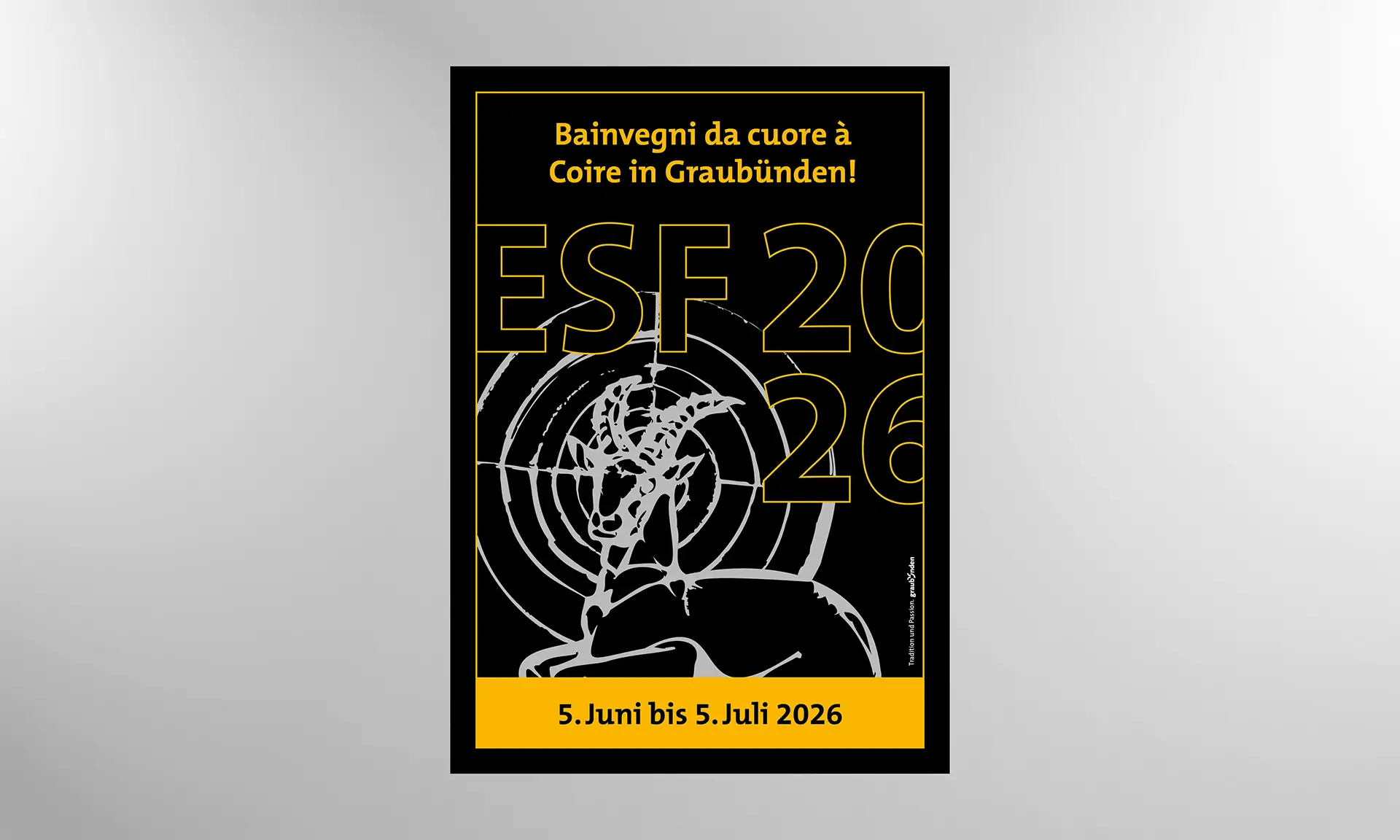 ESF FanPoster 02 Hintergrund