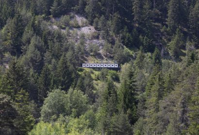 albula-0004