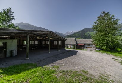gruesch-0001