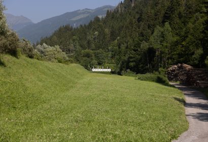 gruesch-0004