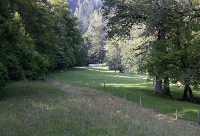 malans-0004