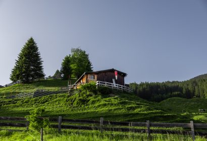 peist-0001