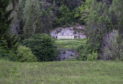 tamins-0004